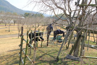 ������Βn�@�}�����̍�C��