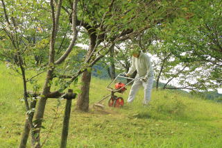 ������Βn�@�؂̊����̑�����