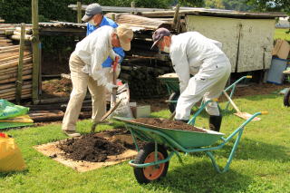 ������Βn�@�엿����