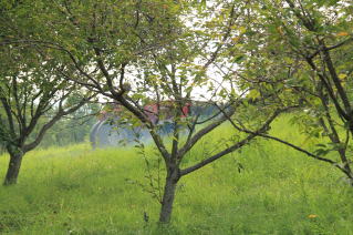 ������Βn�@���[�^��