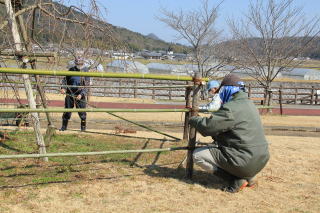 ������Βn�@�}�����̍�C��