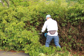 ������Βn�@�A���ݙ���