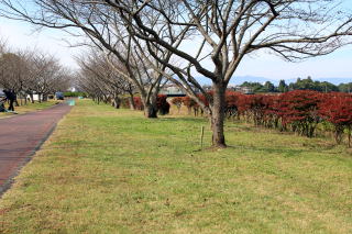 ������Βn�@��������