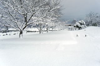 ������Βn�̐�i�F20170116