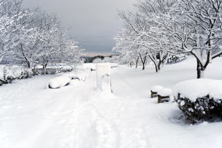 ������Βn�̐�i�F20170116