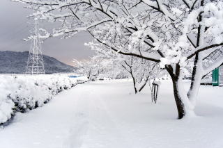 ������Βn�̐�i�F20170116