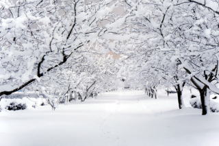 ������Βn�̐�i�F20170116