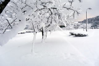 ������Βn�̐�i�F20170116