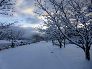 ������Βn�̐�i�F20170211