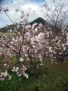 ������Βn�@�W���E�K�c�T�N��