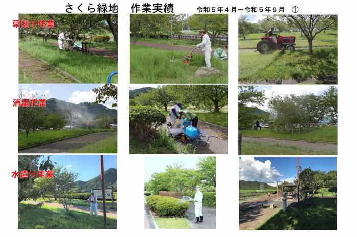 ������Βn�@�񍐏�