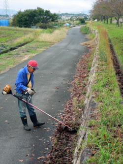 ������Βn�@��ƕ��i