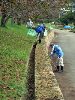 ������Βn�@��ƕ��i