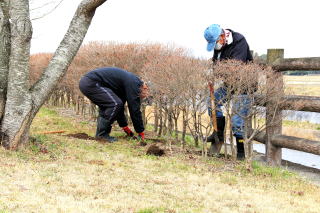 施肥　作業風景