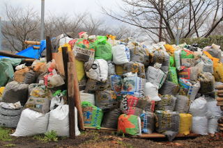 �͔삩�瑢�����{��엿