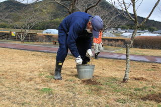 ������Βn�@�{�앗�i