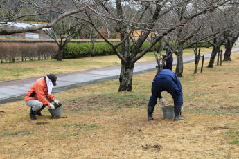 ������Βn�@�{�앗�i