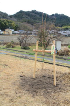 �ߐA��ƕ��i