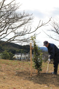 �ߐA��ƕ��i