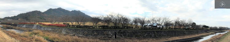 ������Βn�@�p�m���}�ʐ^