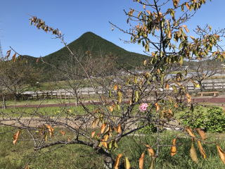 ������Βn�@�͒Í�