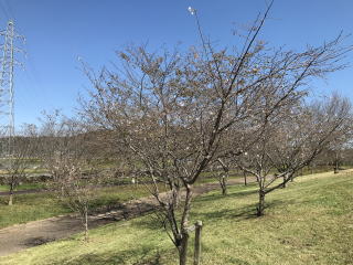 ������Βn�@�\����