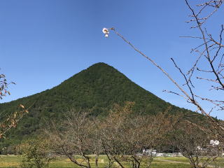 ������Βn�@�\����