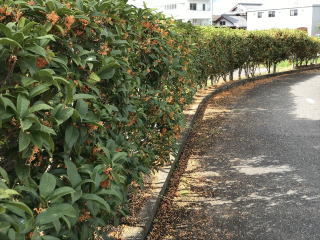 ������Βn�@���؍�