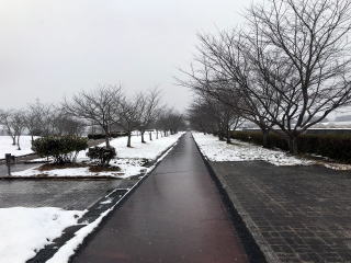 ������Βn�@��i�F