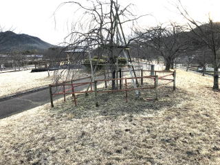 ������Βn�@�}�������