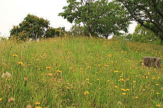 ������Βn�@�G��