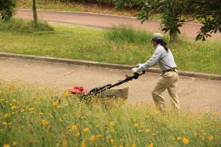 草刈り風景　４輪自走機