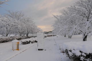 ������Βn�̐�i�F20201231