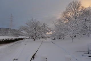 ������Βn�̐�i�F20201231