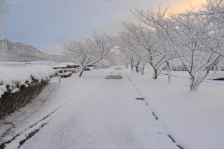 ������Βn�̐�i�F20201231