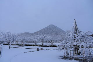 ������Βn�̐�i�F20201231