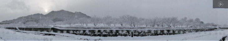 ������Βn�̓~�̃p�m���}�ʐ^