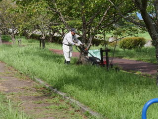 ������Βn�@������