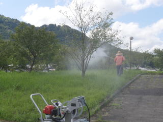 ������Βn�@���ŉt�U�z