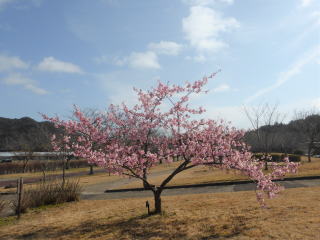 ������Βn�@�J���Y�U�N���ƎO��R