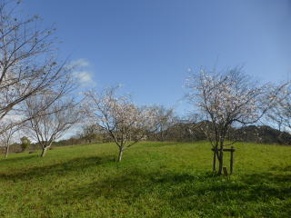 ������Βn�@�W���E�K�c�T�N��