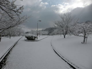 ������Βn�@�ϐᕗ�i