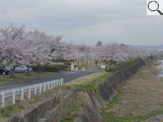 さくら緑地　さくら墓園近くの橋から