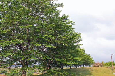 ������Βn �V�΂̍�����